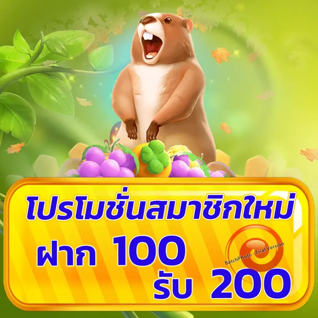 inwza สมัครฟรี